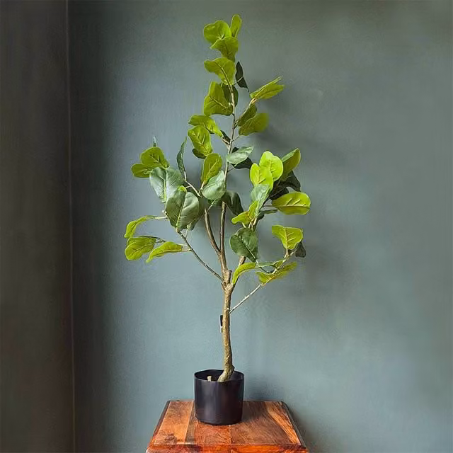 Voltico Artificial Fiddle Leaf Fig Tree in Green, Height: 90 cm