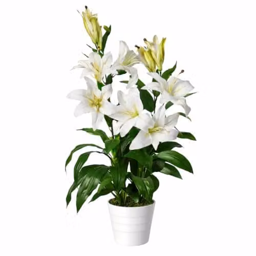 Leaf Large Artificial Stargazer Style Lily Plant in White and Green, Height: 90 cm
