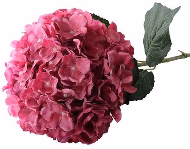 Kingsbury Gifts Giant Head Hydrangea Single Stem in Dark Pink