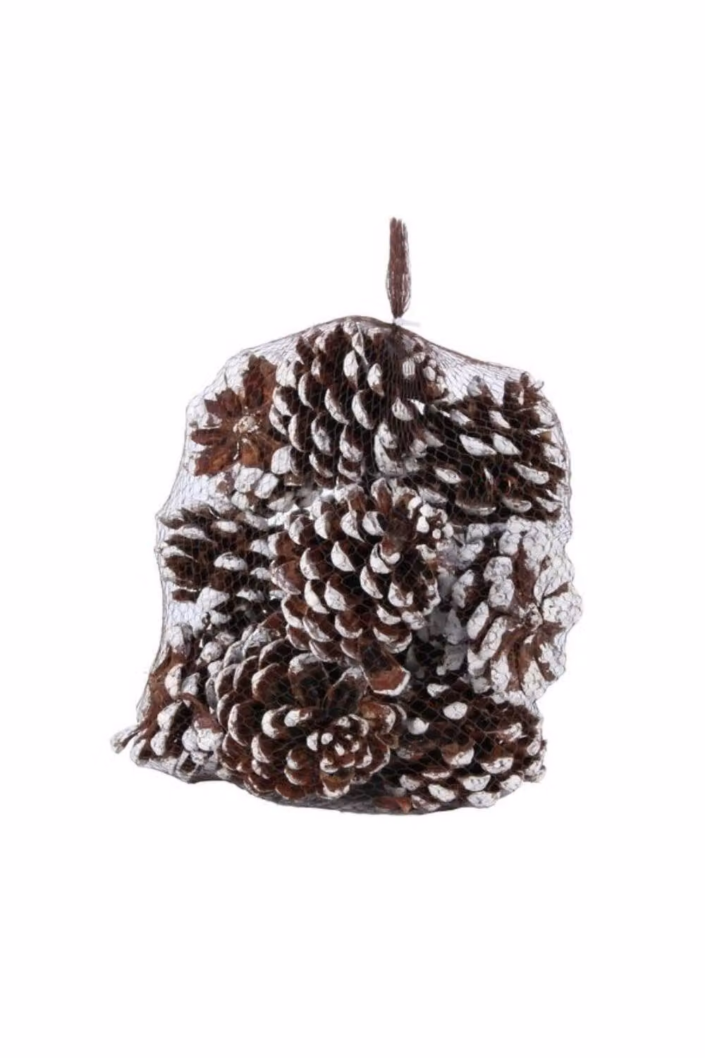 KDMD White Tipped Pinea Cones, 12 Pack, Brown and White – 2
