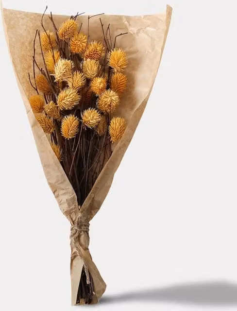Gallery Direct Dried Thistle Bouquet in Yellow and Brown