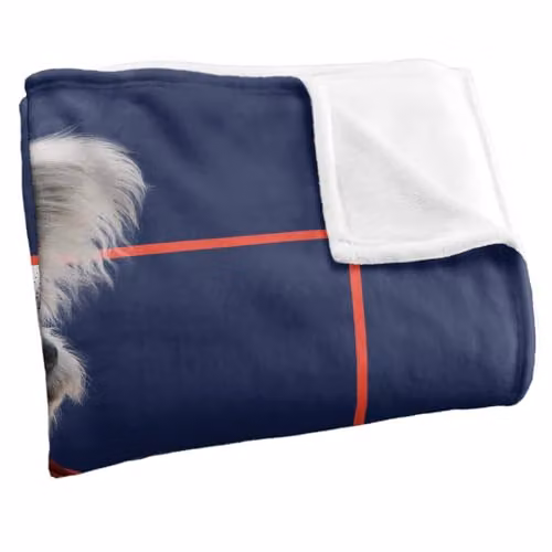 Warner Bros. Superman 2025 Krypto Good Dog Super Soft Fleece Throw Blanket, Multicolour, W: 152 cm, D: 127 cm – 2