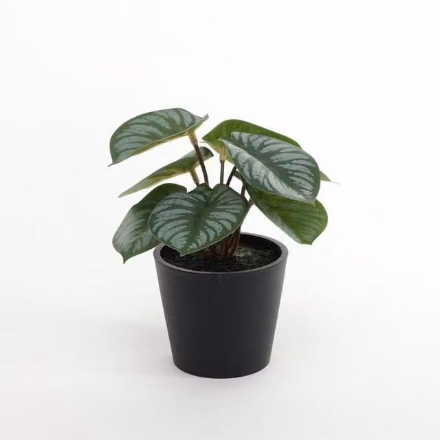Kingsbury Gifts Mini Artificial Potted Calathea House Plant in Green