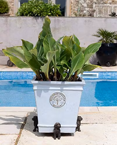 Jardinopia Cockapoo Animal Plant Pot Feet, Set of 3, Bronze, W: 8 cm, D: 5.5 cm, H: 10 cm – 5