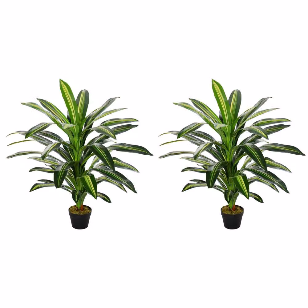 Wyld Haus Baketto Set of 2 Green Artificial Potted Dracaena Style Indoor Plants – 2