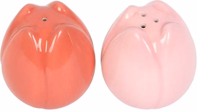 Something Different Tulip Ceramic Salt and Pepper Shakers in Pale Pink – 1