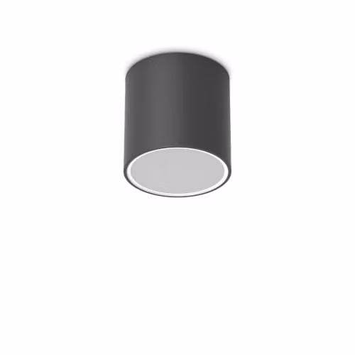 Netlighting Techo Black Surface Mounted Outdoor Downlight IP54 15.3cm