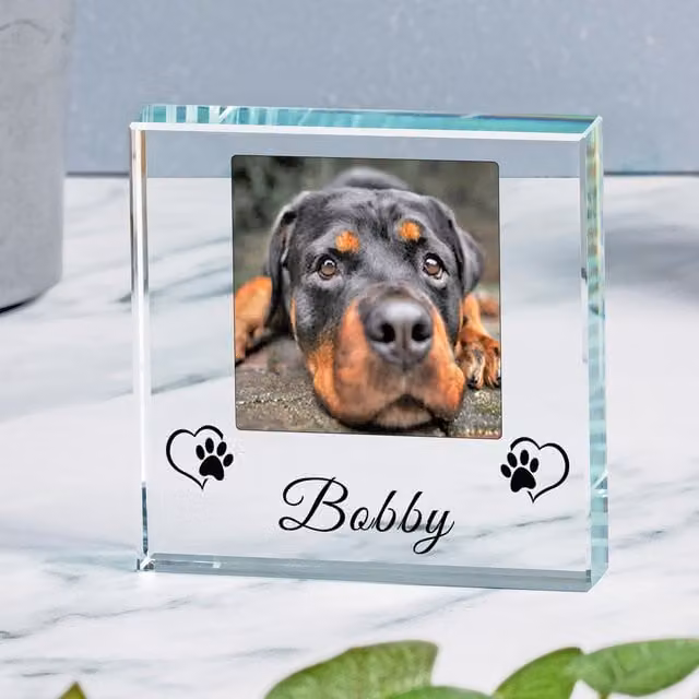Uniqueful Personalised Pet Name Glass Token in Transparent