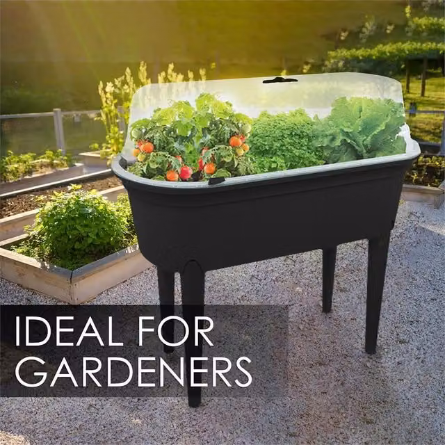 EONLION Black Raised Bed Garden Planter and Vegetable Box for Herbs and Ornamental Plants, W/D/H: 84.0 x 77.0 x 38.0 cm