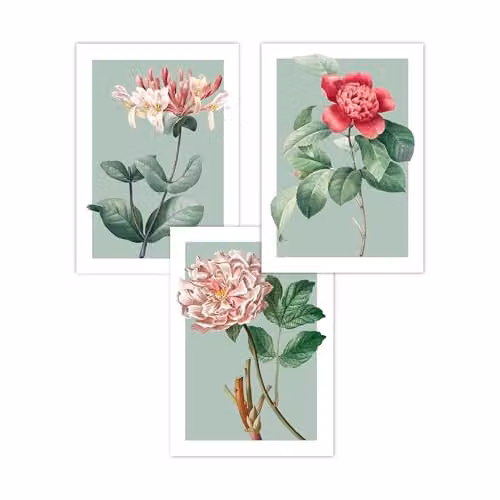 ARTZE Set of 3 Vintage Floral Botanical Paper Posters in Green, Pink and White, W: 42 cm, H: 59 cm – 2