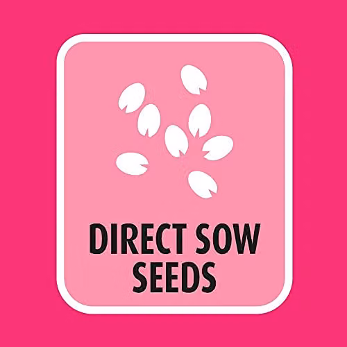 Doff Multipurpose Lawn Seed, 1 kg – 2
