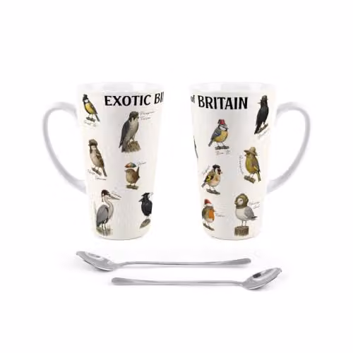 Purely Home Exotic Birds of Britain Multicoloured Ceramic Latte Mug Set – 4