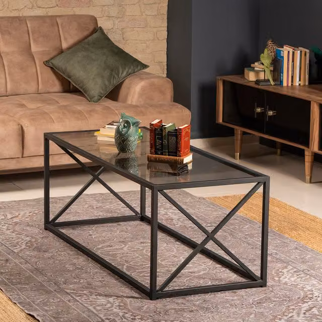Geises Modern Rectangular Glass and Metal Coffee Table in Black