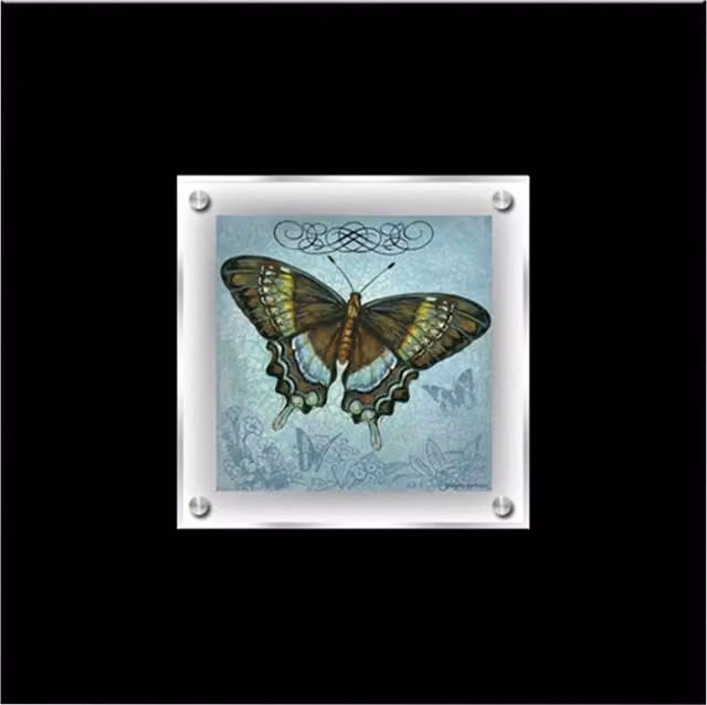 Orsina Butterfly 2 Framed Wall Art in Black and Multicolour with Nature and Floral Illustration