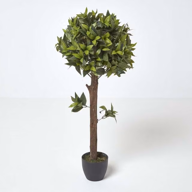 Homescapes One Ball Bay Topiary Tree, Green, Height: 91.44 cm