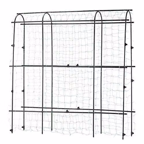 Garden Gear Black Metal Pea and Bean Tunnel with Four Arches and Mesh Netting, W 1.8 m x H 1.8 m