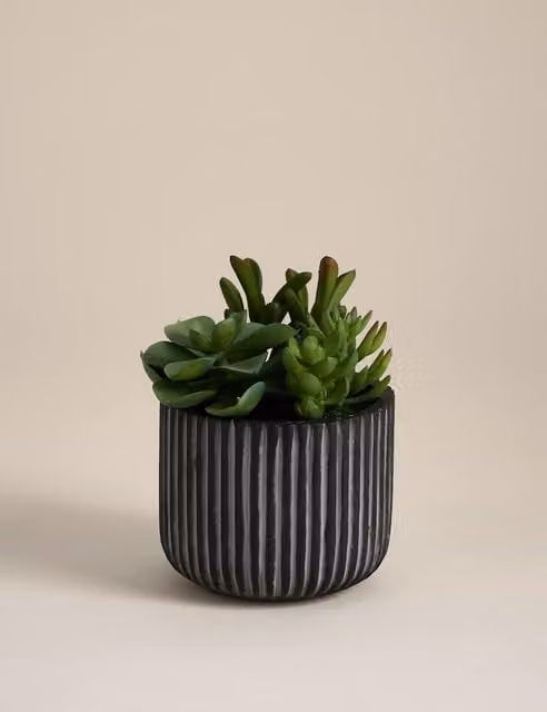 Moss & Sweetpea Modern Artificial Succulents in a Black Ridged Concrete Pot