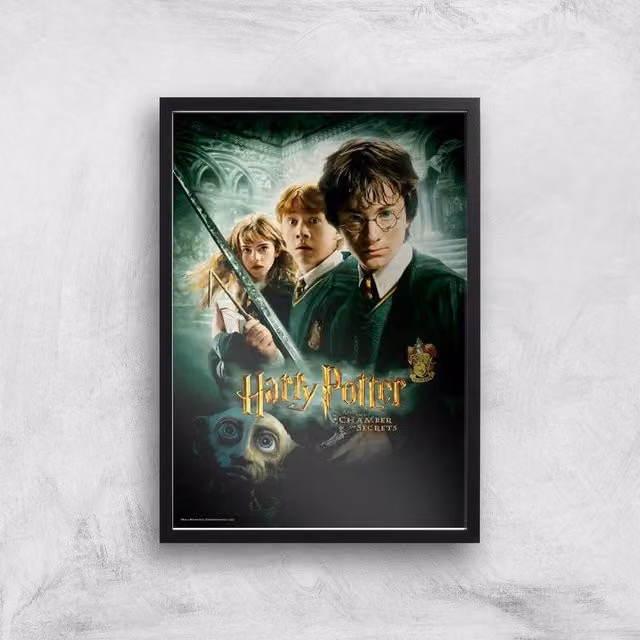 Harry Potter and the Chamber of Secrets Multicolour Giclee Paper Art Print, A2