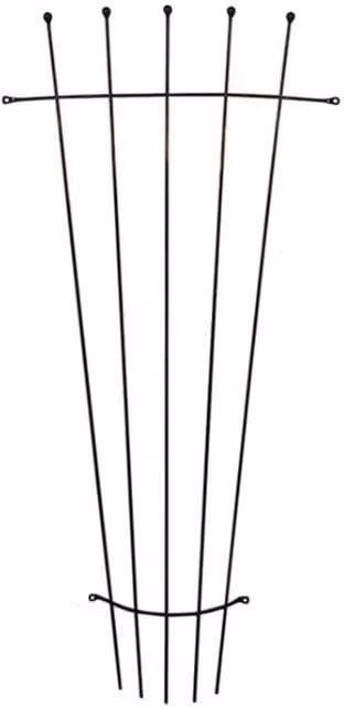 Garden Pride Black Metal Wall Mounted Fan Trellis, Height: 152 cm