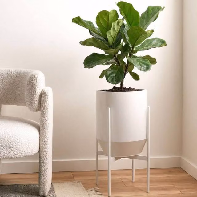 Wyld and Coco Modern White Lacquered Metal Plant Stand, W/D/H: 33 x 33 x 62 cm – 1