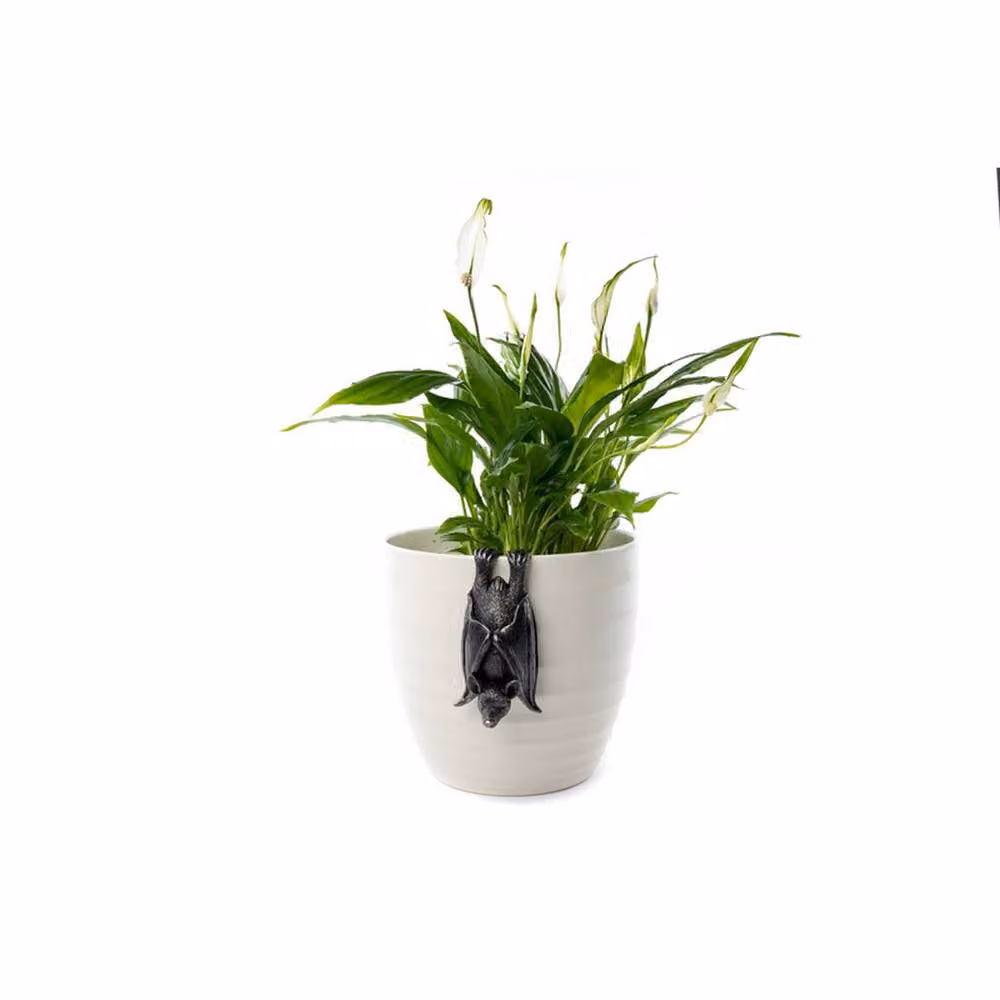 Jardinopia Bronze Hanging Bat Plant Pot Hanger, W: 5.5 cm, D: 11 cm, H: 4.5 cm – 3