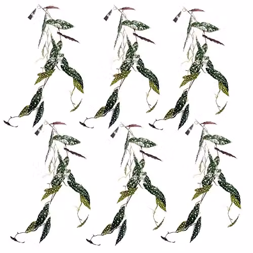 Leaf Design Multipack of 6 Purple and Green Artificial Hanging Trailing Begonia Maculata Spotted Plants, H 110 cm x W 30 cm – 1