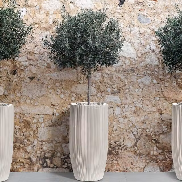 Wyld and Coco Beige Pinstripe Clay Planter, W/D/H: 35 x 35 x 70 cm