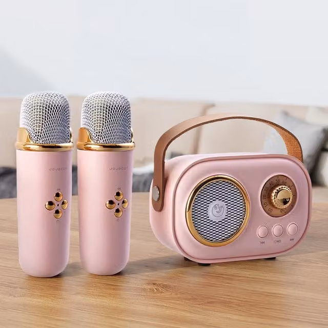Livingandhome Portable Retro Bluetooth Karaoke Machine and Speaker System - Pink