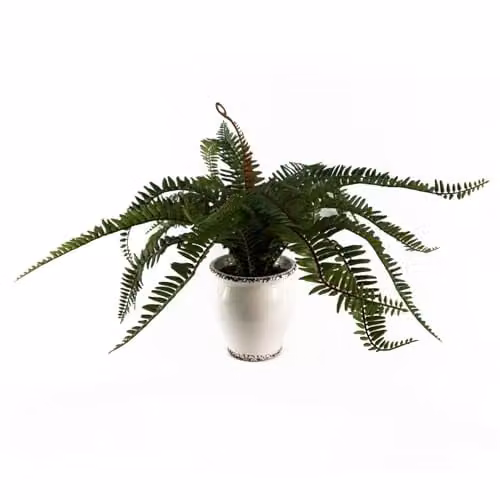 Leaf Design UK Artificial Green Plant in White Ceramic Pot, H 40 cm x W 13 cm x D 13 cm