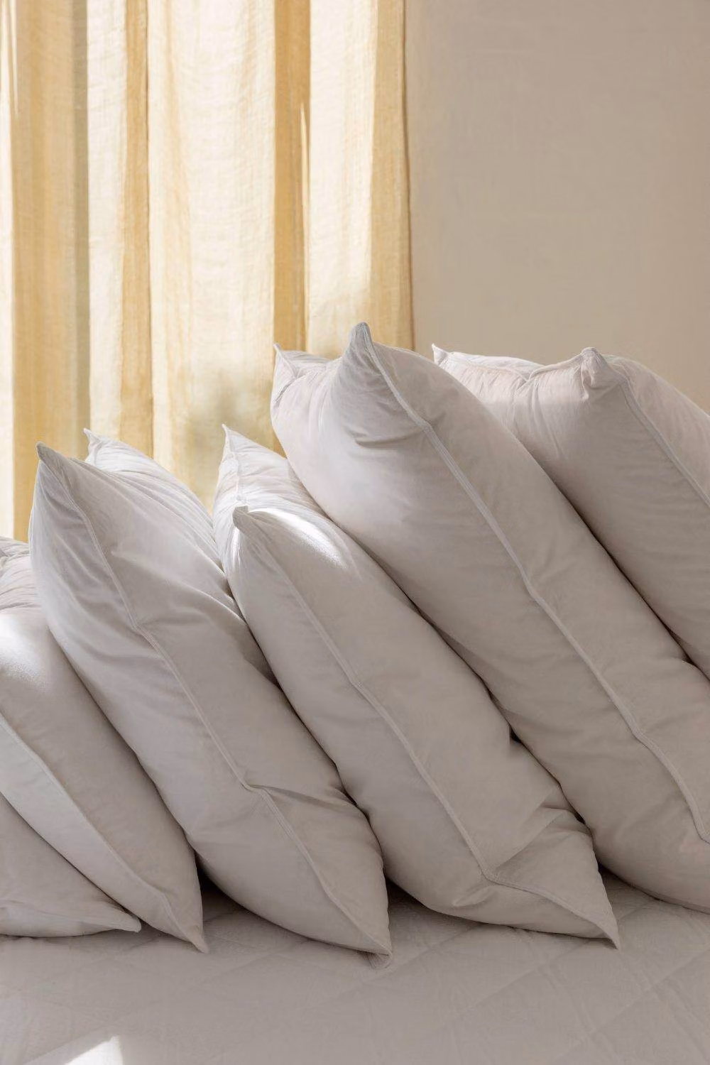 die zudecke Hungarian Goose Feather and Down Medium Firmness Pillow, 2 Pack, White – 2