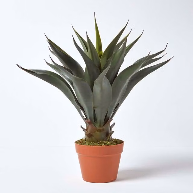 Homescapes Green Century Plant Artificial Agave Americana Succulent with Pot, Height: 60 cm
