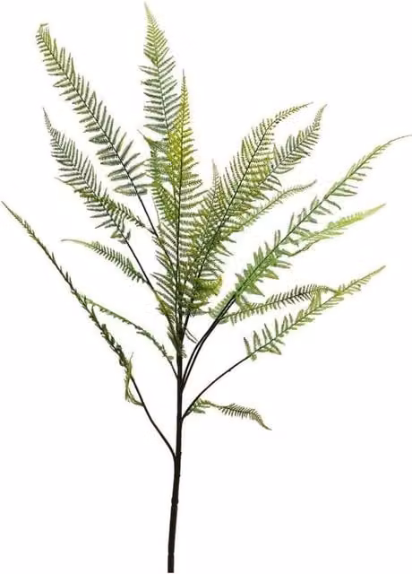 KDMD Botanica Fern Leaf Branch in Green, Height: 162 cm