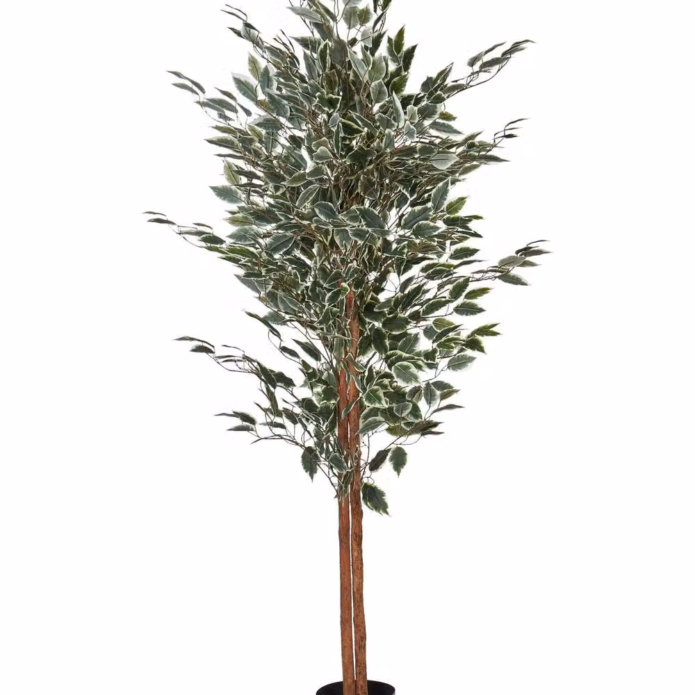 Wyld and Coco 167 cm Artificial Green Ficus Tree with Concrete Base – 2