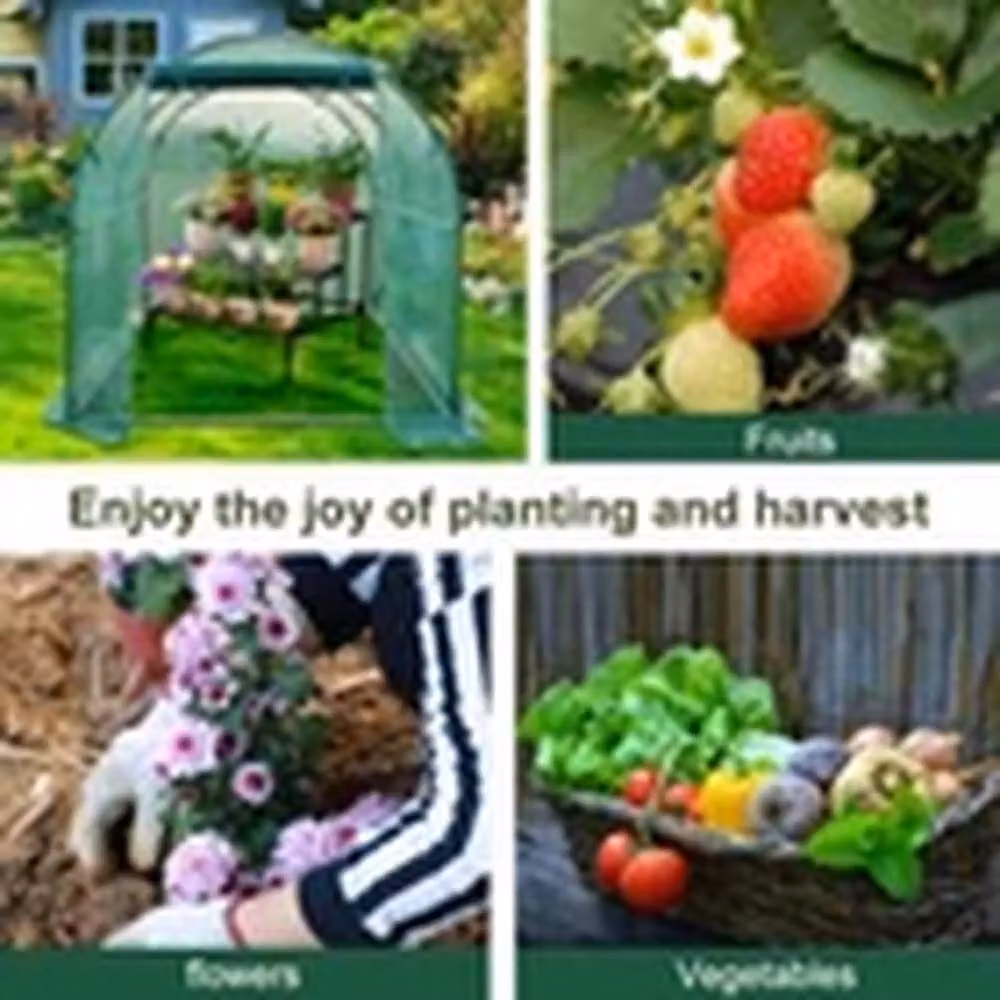 EONLION Reinforced Green Walk In Polytunnel Outdoor Garden Greenhouse with Steel Frame and Window, W/D/H: 2 x 2 x 2 m – 2