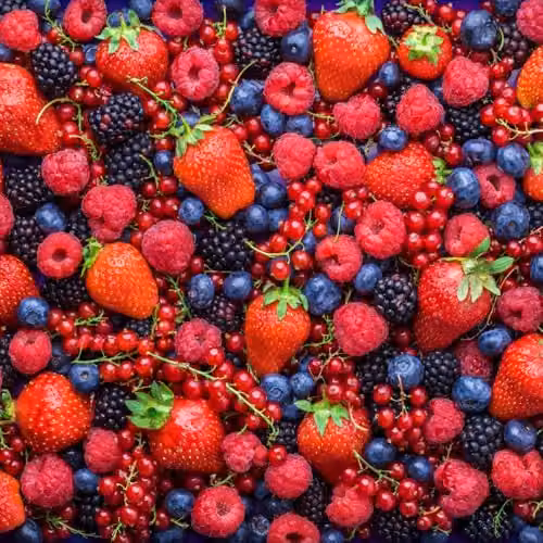 Thompson and Morgan Hardy Summer Flowering Fruit Plant Mix with Raspberry, Strawberry and Blueberry in 9cm Pots