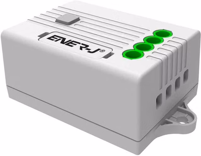 EnerJ Smart 2 Way Non Dimmable Switch Receiver, 5A 2 x 600W, White