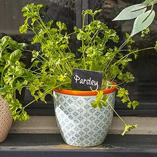 Nicola Spring Hand Printed Floral Ceramic Plant Pots in Blue and Orange, Pack of 6, W/D/H: 14 x 14 x 12.5 cm – 2