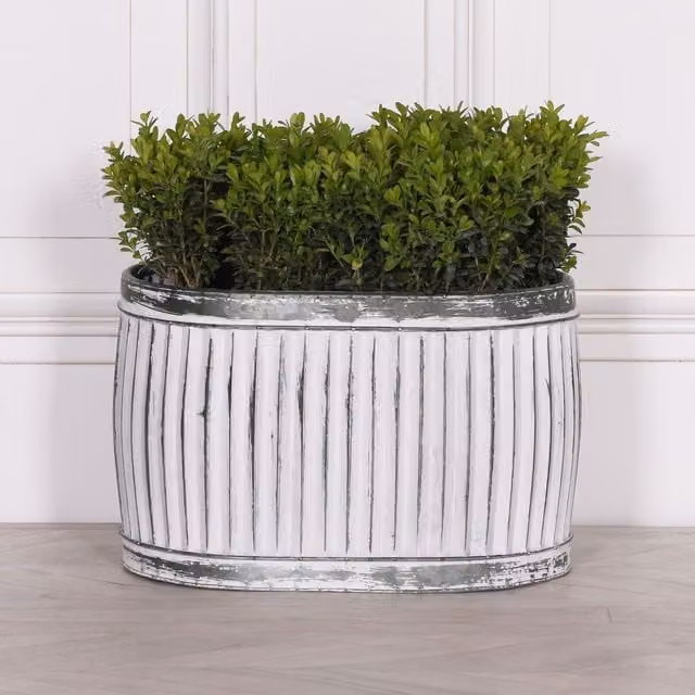Glasstone Dolly Tub Oval Metal Planter, Small, White, W/D/H: 38.5 x 24.0 x 26.0 cm