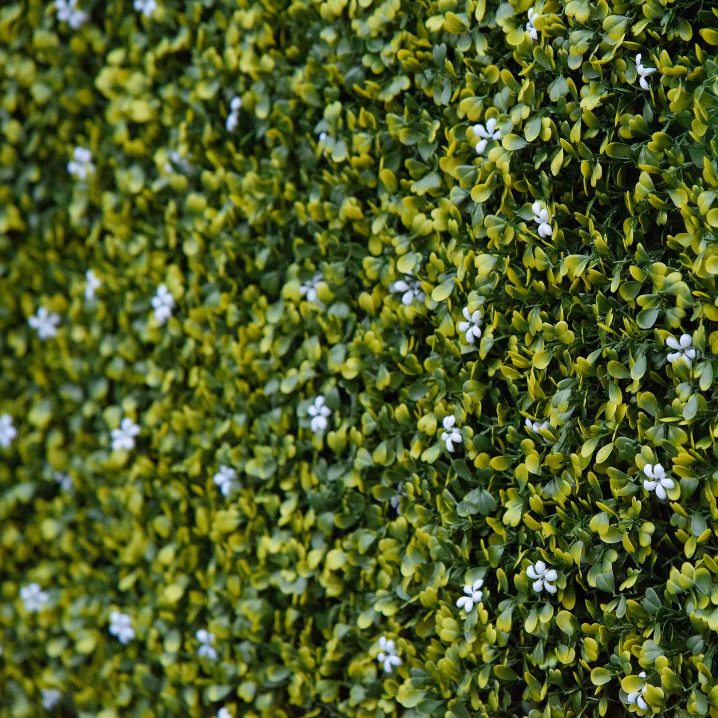 Outsunny 12-Piece Artificial Boxwood Wall Panels, Green Faux Hedge Privacy Fence Screen, W/D/H: 50 x 50 x 50 cm – 8