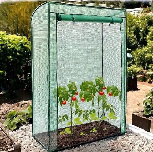 Faboer Green Freestanding Tomato Greenhouse with Reinforced Steel Frame and Plastic Cover – 2