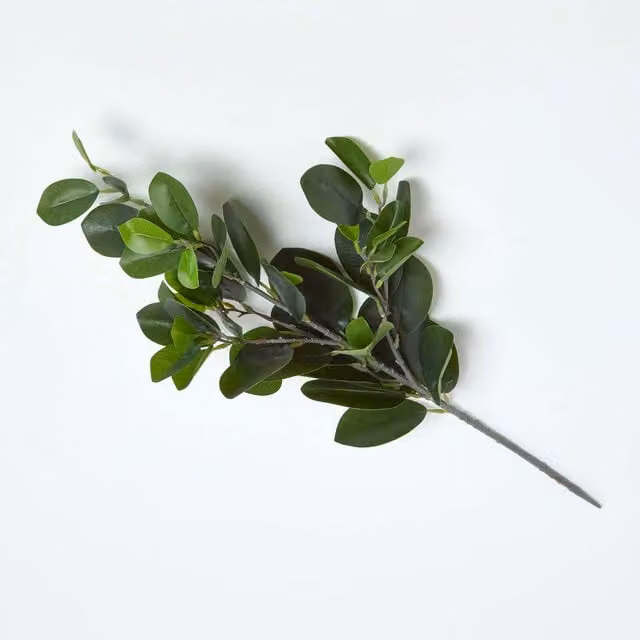Homescapes Green Rubber Leaf Foliage, Height: 58 cm