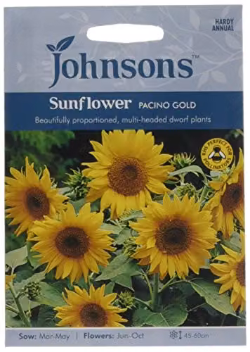 Johnsons Sunflower Pacino Gold Ornamental Flower Seeds, Yellow
