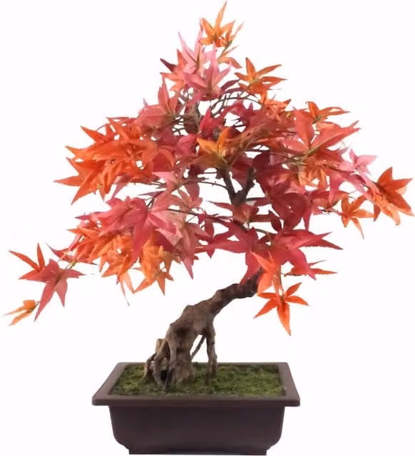 Pegdev 50cm Artificial Red Maple Bonsai Tree with Decorative Planter in Red and Brown – 1