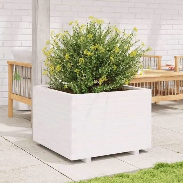 Berkfield Home Beautiful Garden Planter Tub in White Solid Wood, W: 70 cm, D: 70 cm, H: 49.5 cm