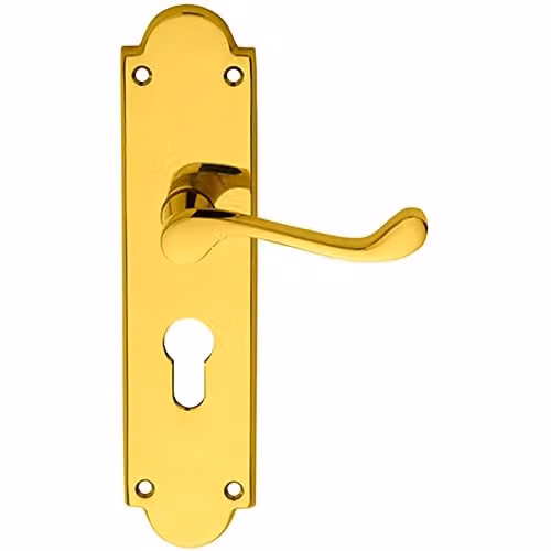 Loops Pair Victorian Scroll Lever on Euro Lock Backplate in Polished Brass