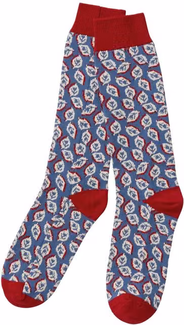 Land & Shore Seedling Socks in Blue and Red – 1