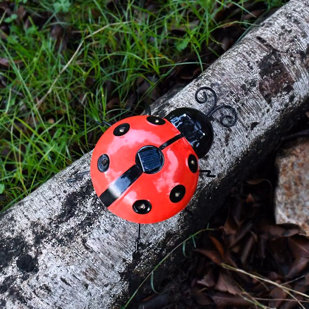 Quipulse Pack of 1 Red Seven-Spotted Ladybird Solar Garden Light with Warm White Dusk Sensor – 3