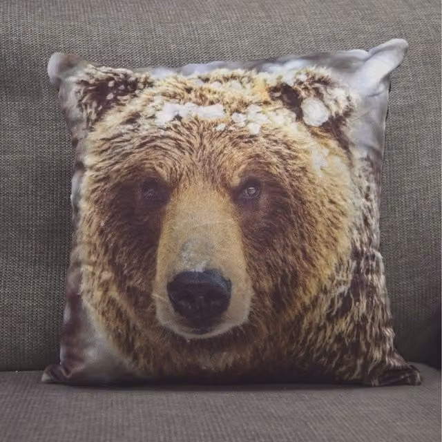 Rapport Home Big Bear Velvet Cushion Cover, Multicolour and Brown, W/D/H: 43 x 43 x 1 cm