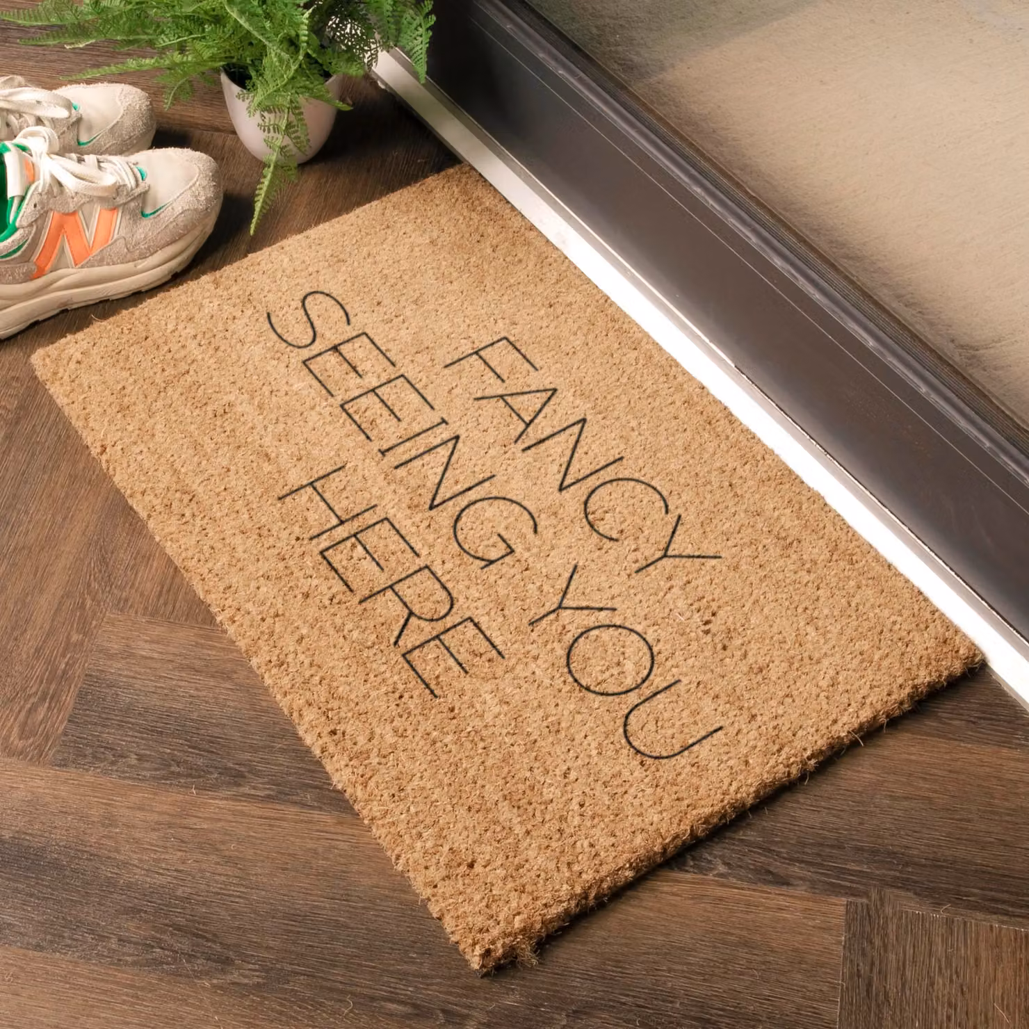 Artsy Mats Fancy Seeing You Here Doormat in Black and Brown, W: 60 cm, D: 40 cm – 2