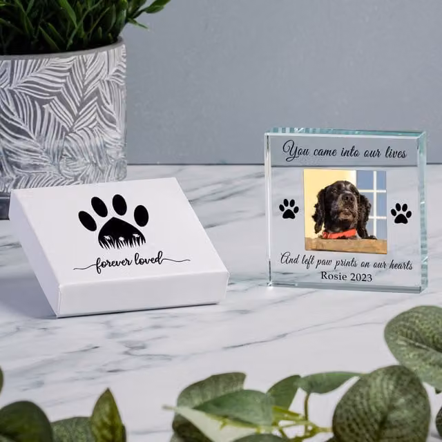 Uniqueful Personalised Paw Prints Glass Token Sympathy Gift in Transparent and Beige